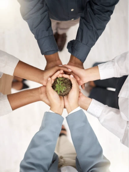 Aiuto le aziende di treviso venezia padova e rovigo a crescere online